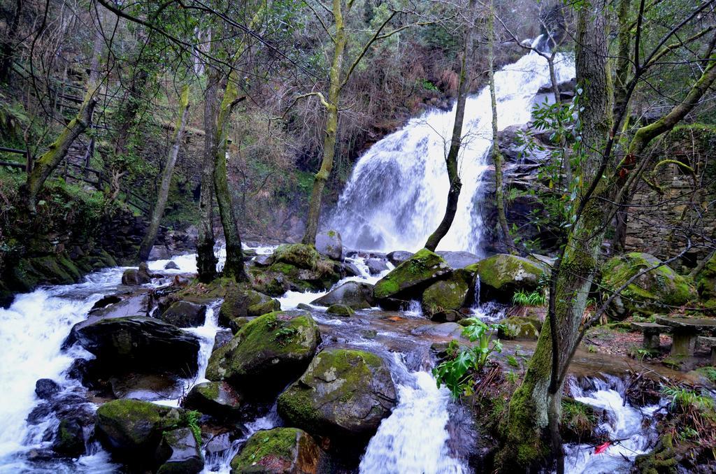 Villa De Paco Sever do Vouga Dış mekan fotoğraf