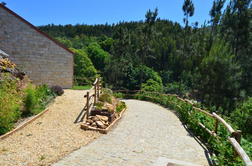 Villa De Paco Sever do Vouga Dış mekan fotoğraf