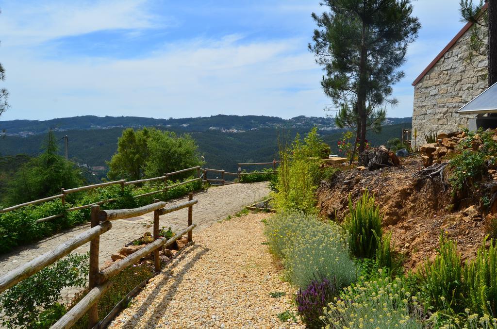 Villa De Paco Sever do Vouga Dış mekan fotoğraf