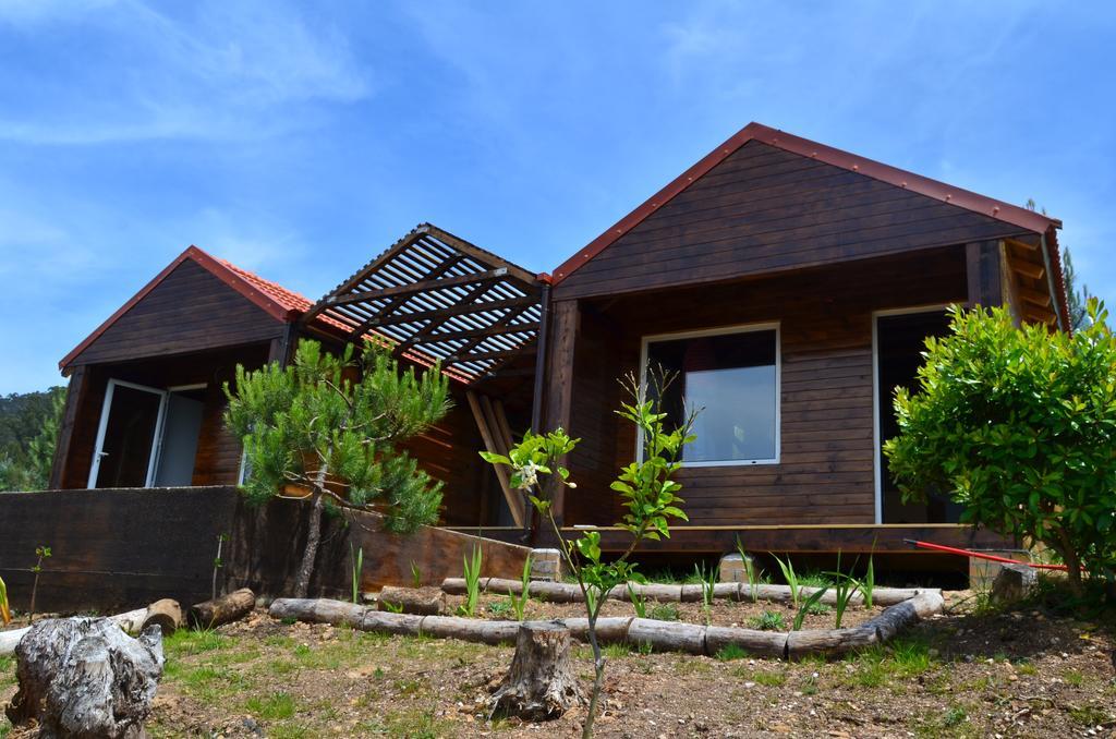 Villa De Paco Sever do Vouga Dış mekan fotoğraf