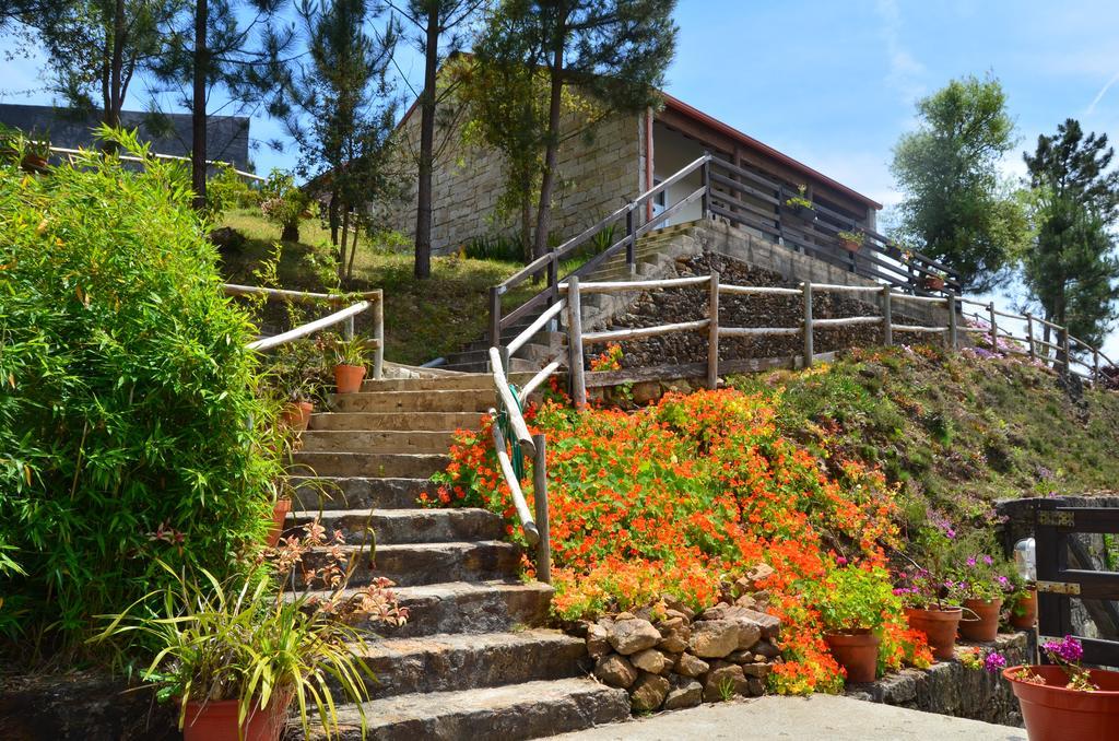 Villa De Paco Sever do Vouga Dış mekan fotoğraf