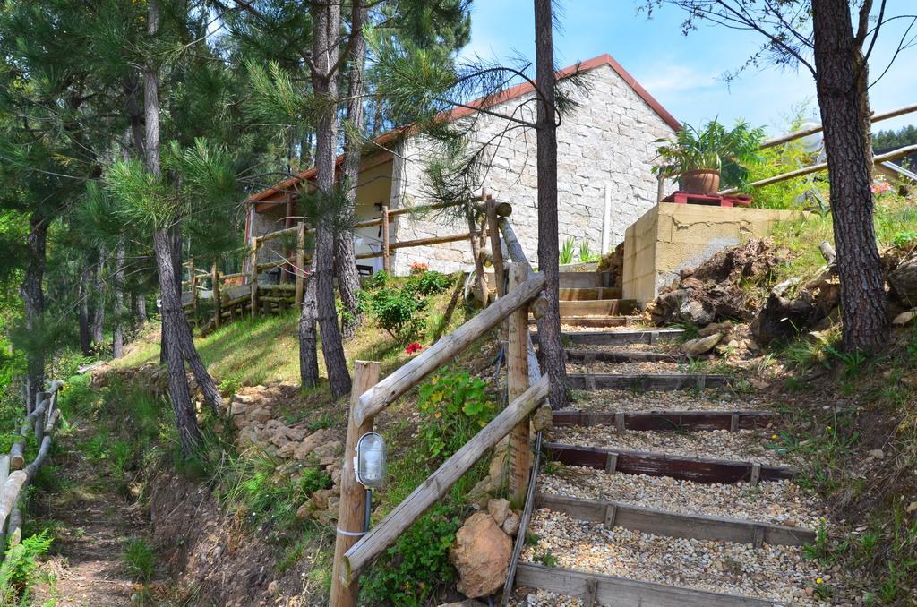 Villa De Paco Sever do Vouga Dış mekan fotoğraf