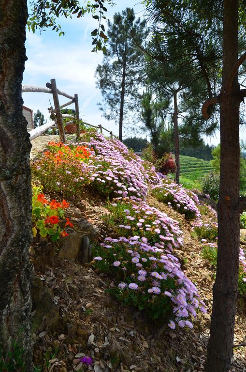 Villa De Paco Sever do Vouga Dış mekan fotoğraf