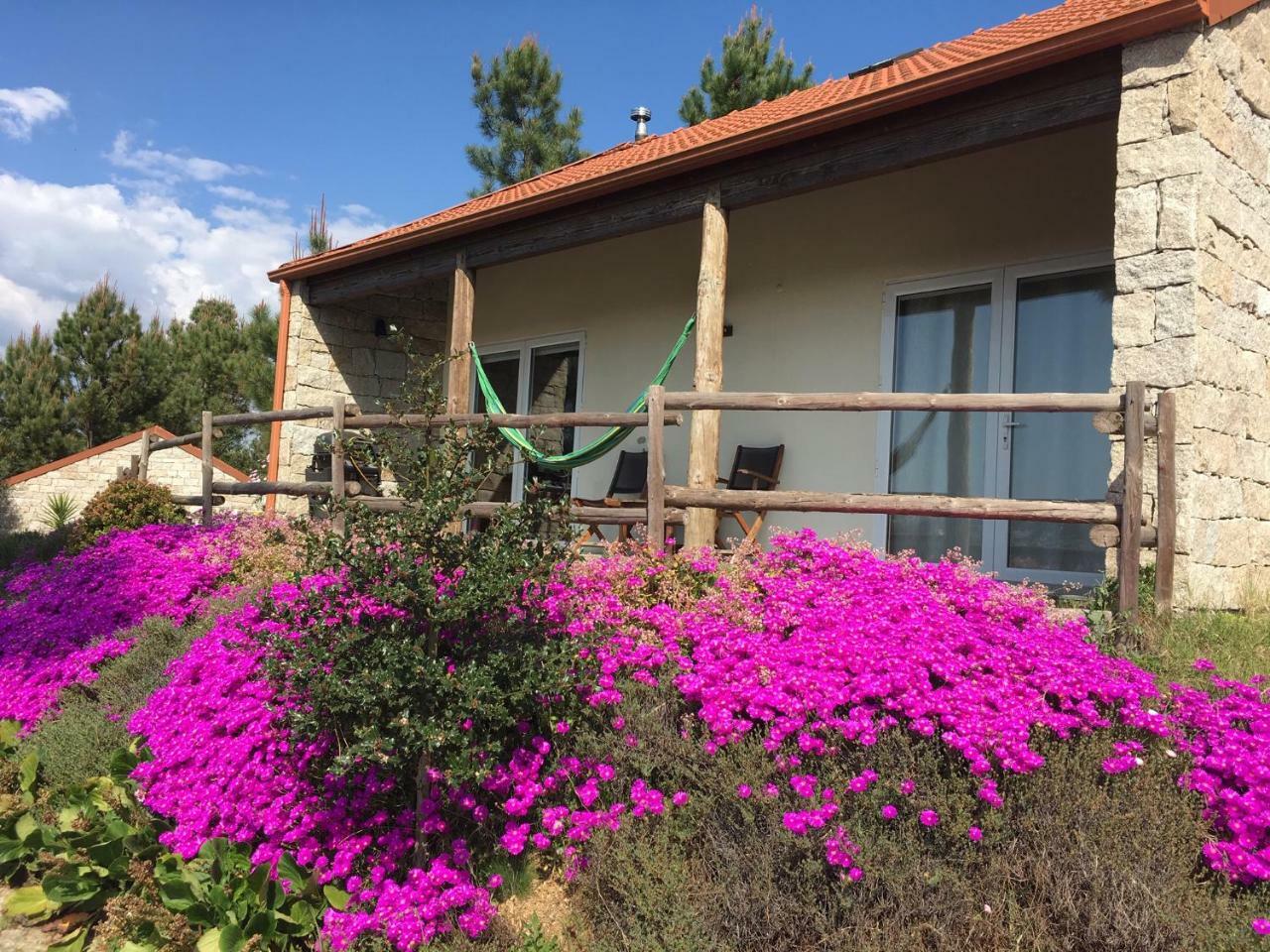 Villa De Paco Sever do Vouga Dış mekan fotoğraf