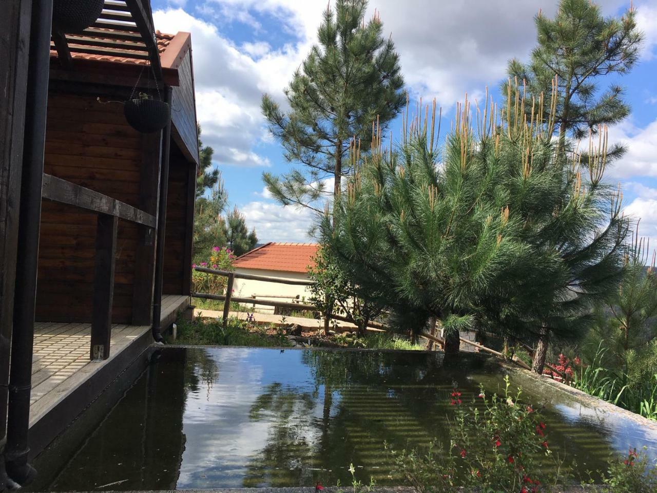 Villa De Paco Sever do Vouga Dış mekan fotoğraf